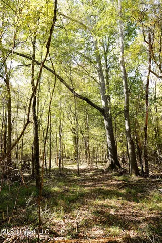 $357,500 | 0 Southwest Jackson Liberty Drive Southwest, Bogue Chitto, MS 39629