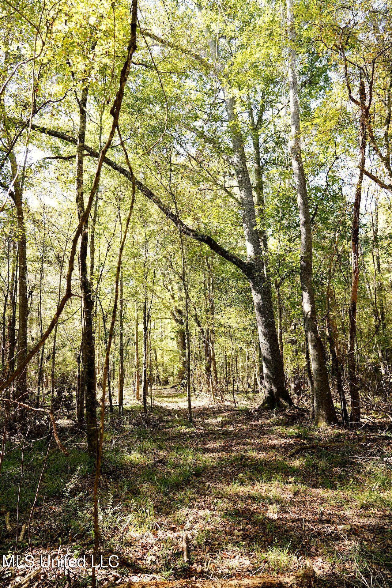 0 Southwest Jackson Liberty Drive Southwest Bogue Chitto, MS 39629 - Photo 18 of 33 DSC00309