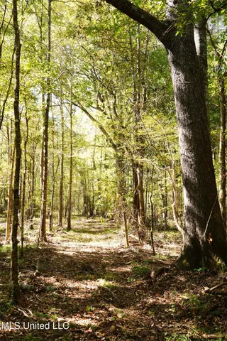 $357,500 | 0 Southwest Jackson Liberty Drive Southwest, Bogue Chitto, MS 39629