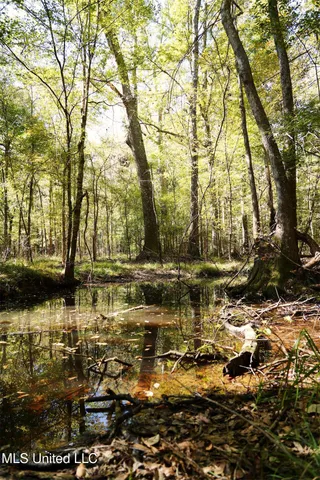 $357,500 | 0 Southwest Jackson Liberty Drive Southwest, Bogue Chitto, MS 39629