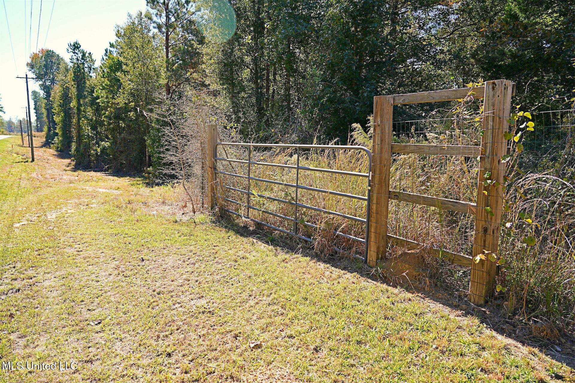 0 Southwest Jackson Liberty Drive Southwest Bogue Chitto, MS 39629 - Photo 2 of 33 DSC00274
