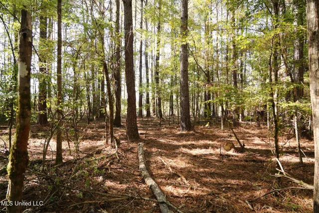 $357,500 | 0 Southwest Jackson Liberty Drive Southwest, Bogue Chitto, MS 39629