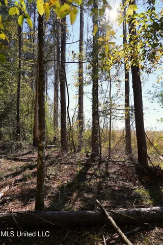 $357,500 | 0 Southwest Jackson Liberty Drive Southwest, Bogue Chitto, MS 39629