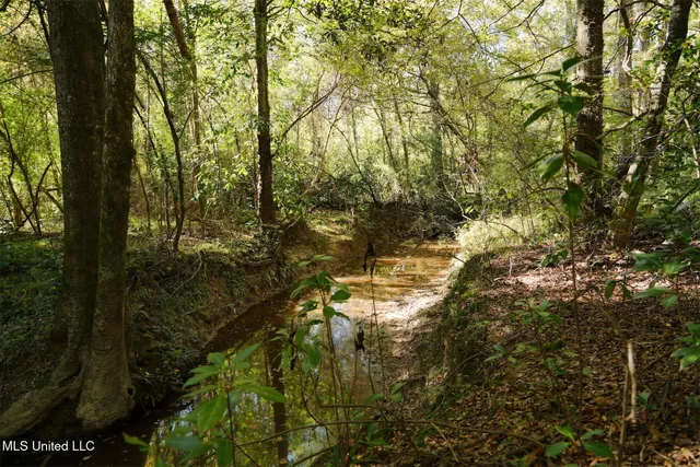 $357,500 | 0 Southwest Jackson Liberty Drive Southwest, Bogue Chitto, MS 39629