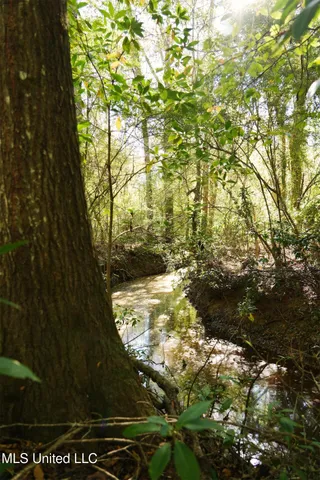 $357,500 | 0 Southwest Jackson Liberty Drive Southwest, Bogue Chitto, MS 39629