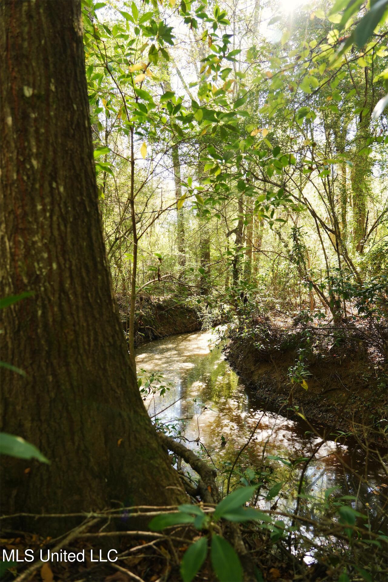 0 Southwest Jackson Liberty Drive Southwest Bogue Chitto, MS 39629 - Photo 24 of 33 DSC00326