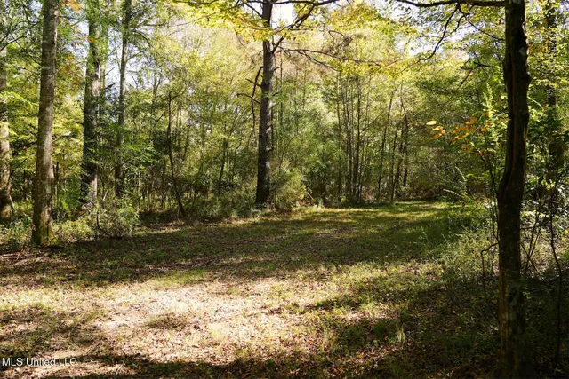 $357,500 | 0 Southwest Jackson Liberty Drive Southwest, Bogue Chitto, MS 39629