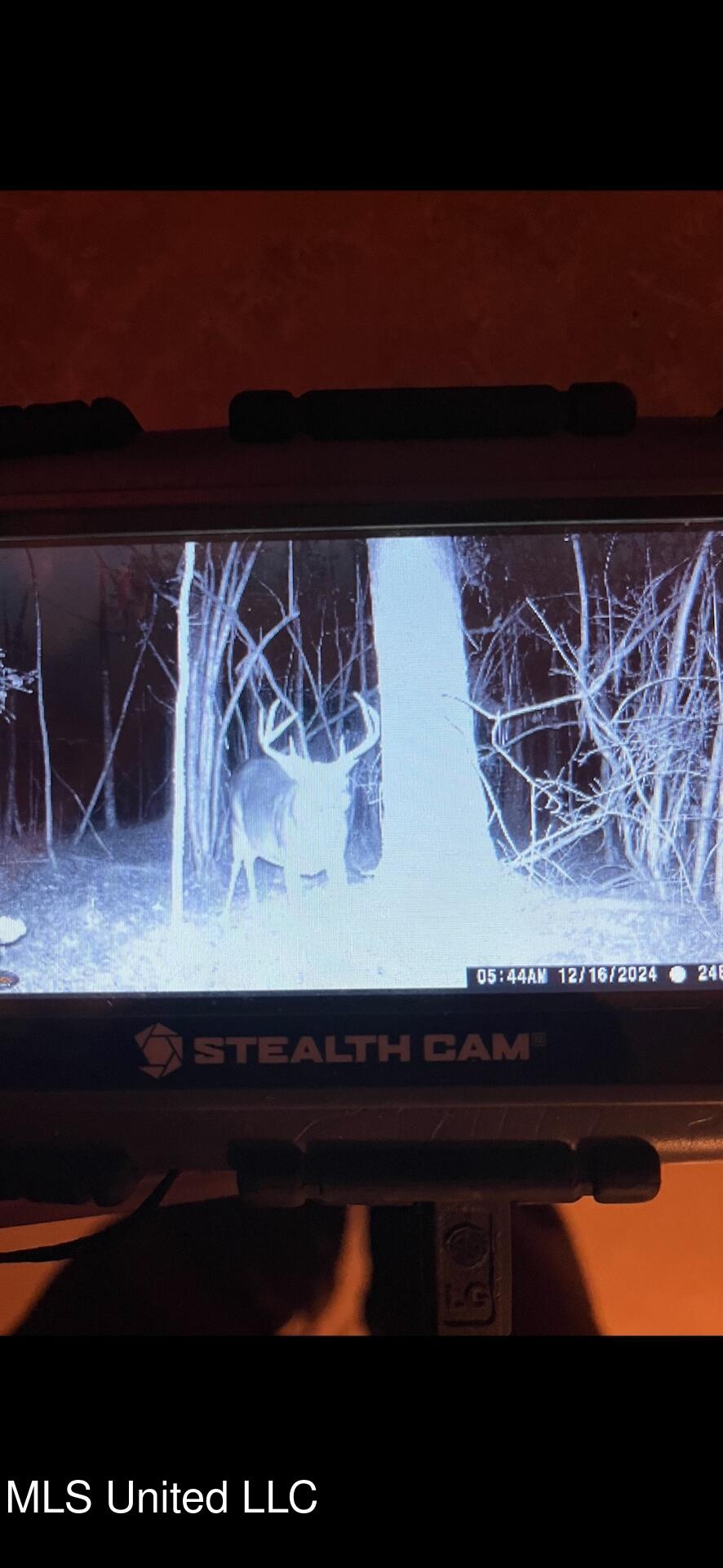 0 Southwest Jackson Liberty Drive Southwest Bogue Chitto, MS 39629 - Photo 26 of 33 IMG_0640