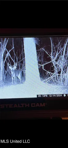 $357,500 | 0 Southwest Jackson Liberty Drive Southwest, Bogue Chitto, MS 39629