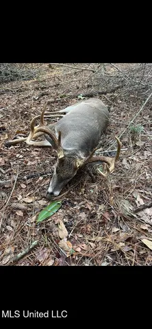 $357,500 | 0 Southwest Jackson Liberty Drive Southwest, Bogue Chitto, MS 39629