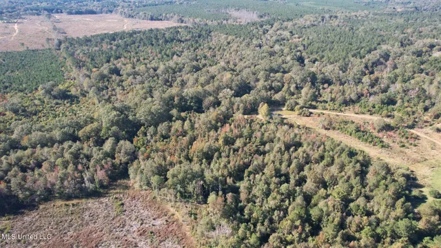 $357,500 | 0 Southwest Jackson Liberty Drive Southwest, Bogue Chitto, MS 39629