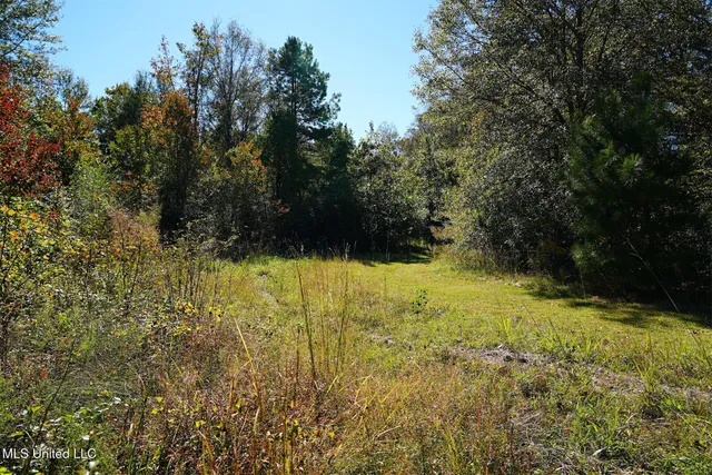 $357,500 | 0 Southwest Jackson Liberty Drive Southwest, Bogue Chitto, MS 39629