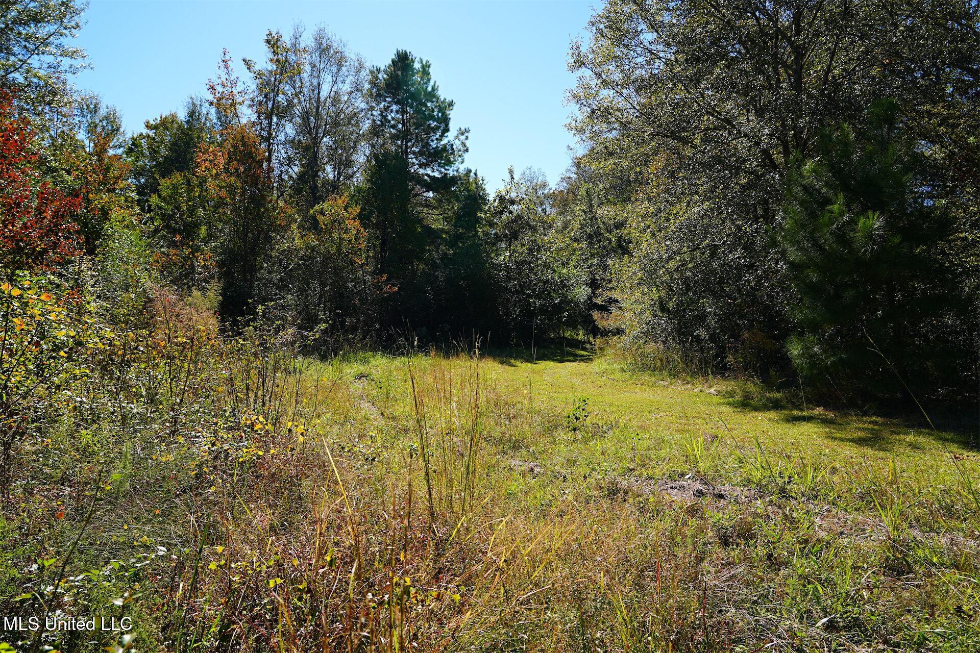 0 Southwest Jackson Liberty Drive Southwest Bogue Chitto, MS 39629 - Photo 3 of 33 DSC00275