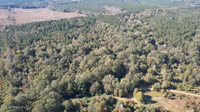 $357,500 | 0 Southwest Jackson Liberty Drive Southwest, Bogue Chitto, MS 39629