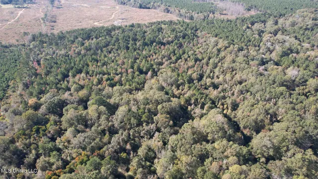 $357,500 | 0 Southwest Jackson Liberty Drive Southwest, Bogue Chitto, MS 39629