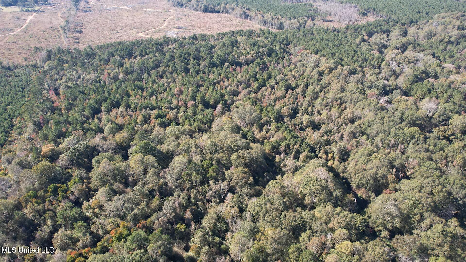 0 Southwest Jackson Liberty Drive Southwest Bogue Chitto, MS 39629 - Photo 32 of 33 DJI_0999