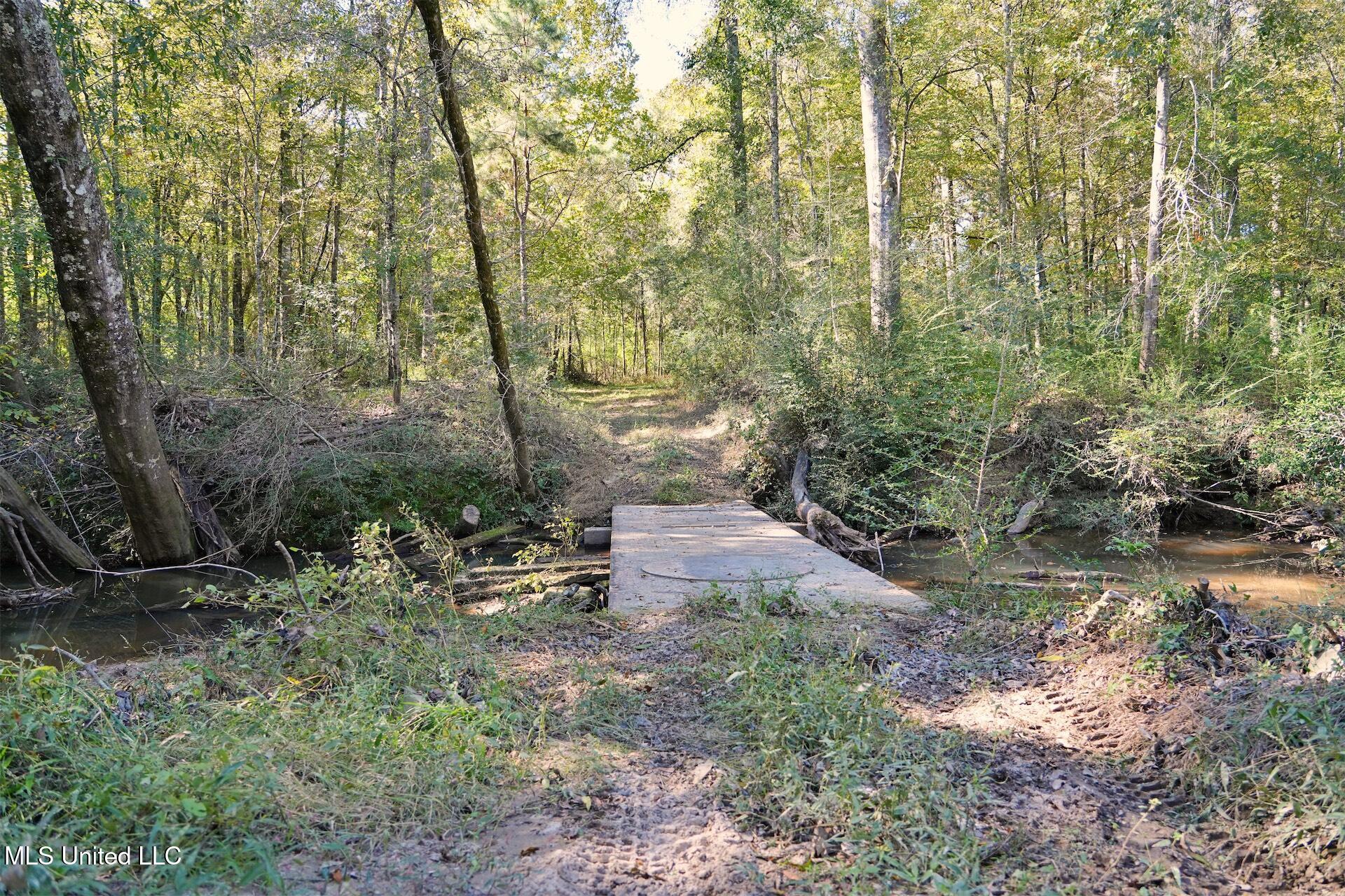 0 Southwest Jackson Liberty Drive Southwest Bogue Chitto, MS 39629 - Photo 4 of 33 DSC00279