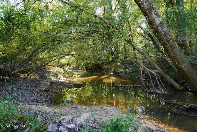 $357,500 | 0 Southwest Jackson Liberty Drive Southwest, Bogue Chitto, MS 39629