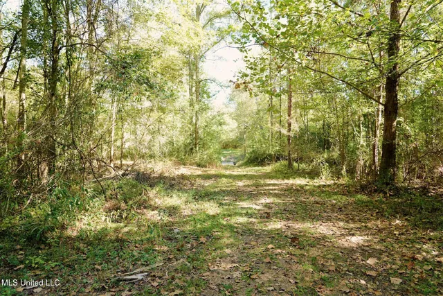 $357,500 | 0 Southwest Jackson Liberty Drive Southwest, Bogue Chitto, MS 39629