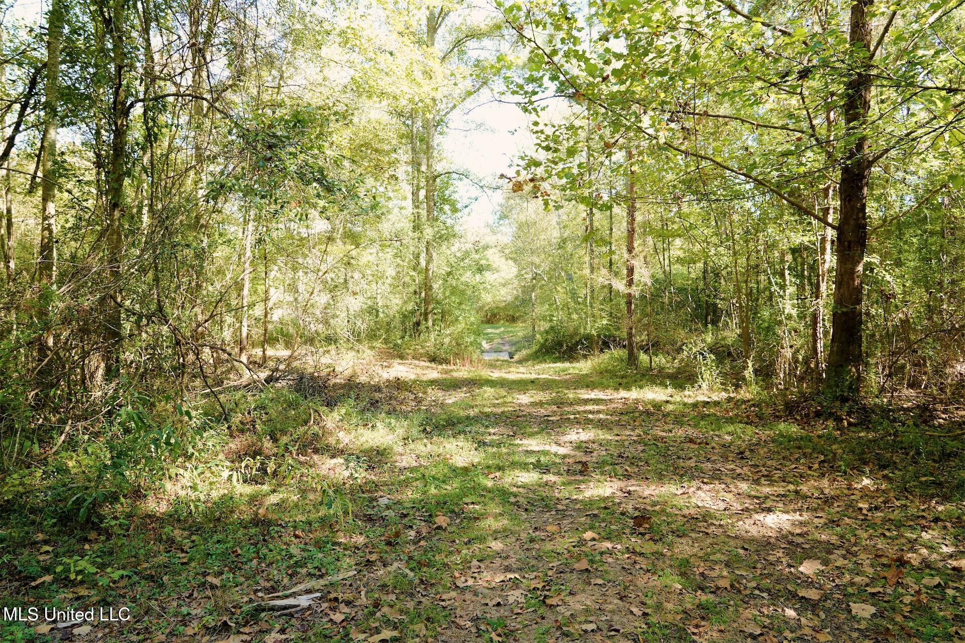 0 Southwest Jackson Liberty Drive Southwest Bogue Chitto, MS 39629 - Photo 6 of 33 DSC00285