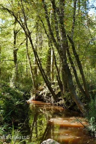 $357,500 | 0 Southwest Jackson Liberty Drive Southwest, Bogue Chitto, MS 39629