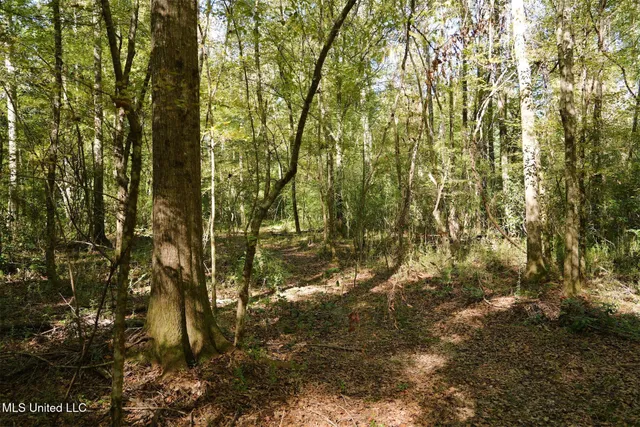 $357,500 | 0 Southwest Jackson Liberty Drive Southwest, Bogue Chitto, MS 39629