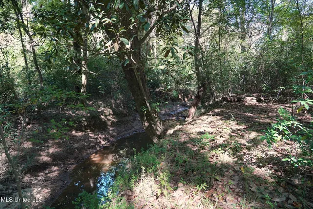 $357,500 | 0 Southwest Jackson Liberty Drive Southwest, Bogue Chitto, MS 39629