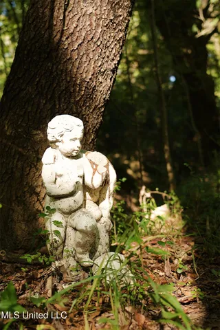 $357,500 | 0 Southwest Jackson Liberty Drive Southwest, Bogue Chitto, MS 39629