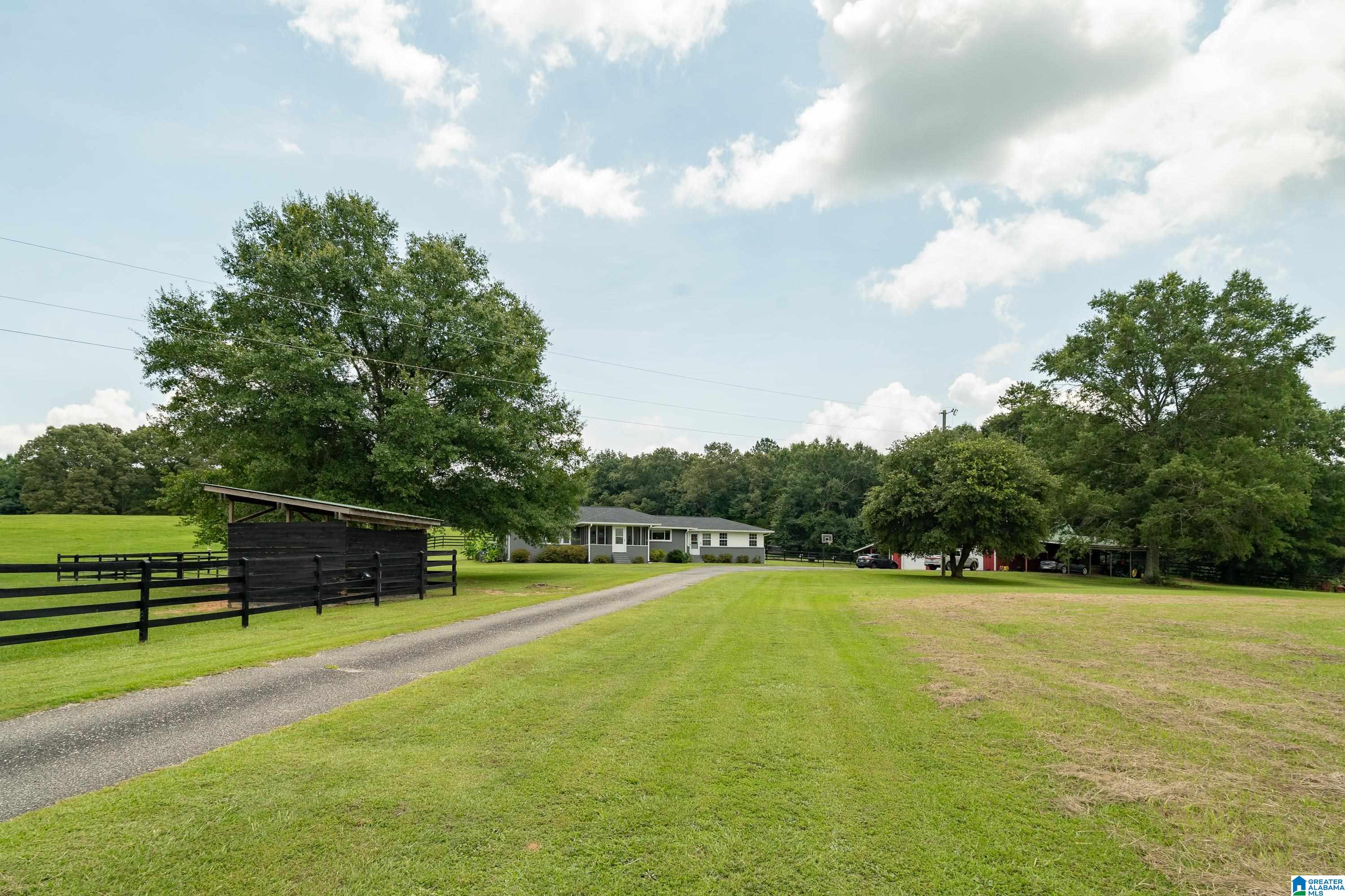 2304 Driving Range Road Cropwell, AL 35054 - Photo 10 of 59