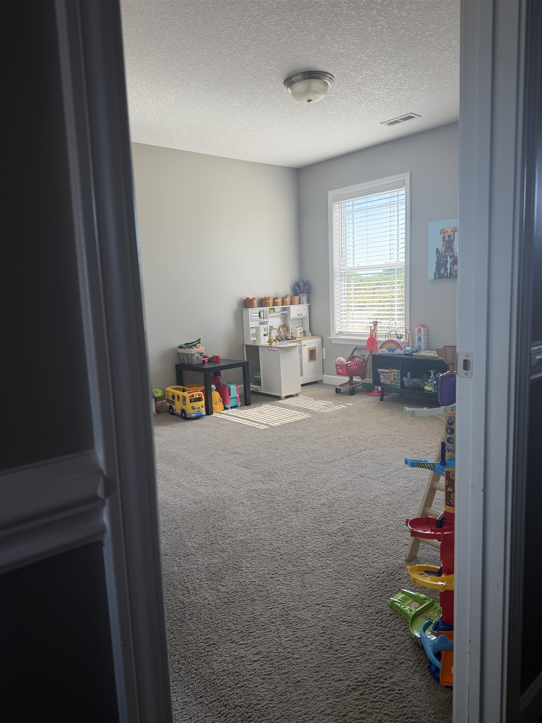 333 State Rd S-42-1013 Boiling Springs, SC 29316 - Photo 27 of 35