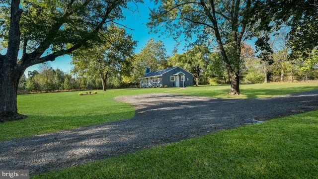 a view of a park with large trees