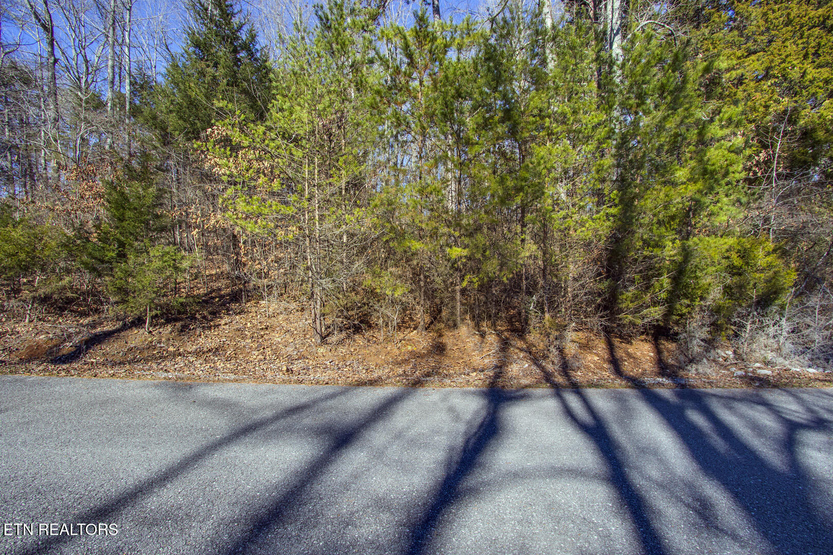 The Gates Drive, Unit 61 Decatur, TN 37322 - Photo 2 of 14 02_TheGatesDive_Lot61_Street_N-NW