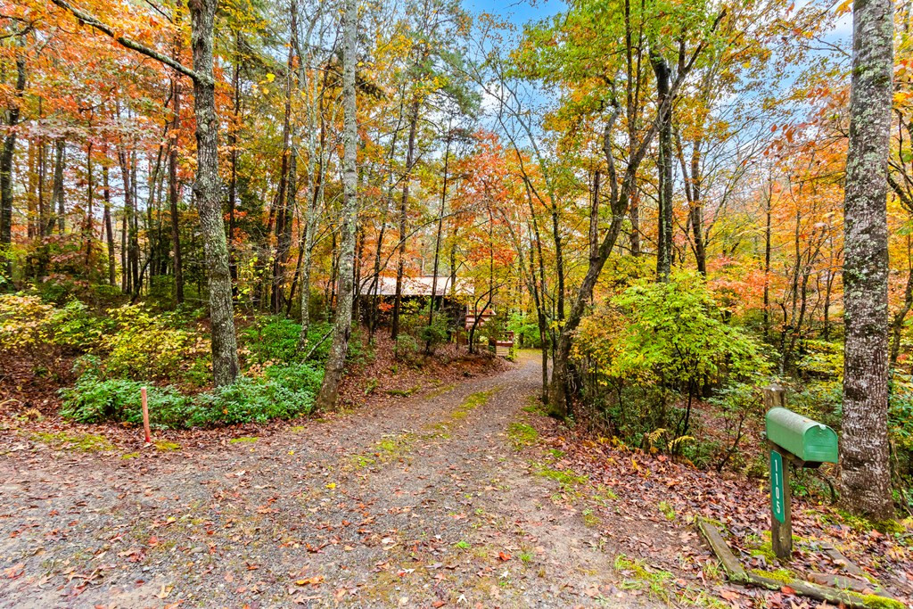 1105 Old Evans Road Murphy, NC 28906 - Photo 31 of 39