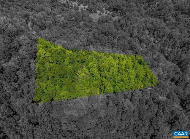 a plant is in a garden