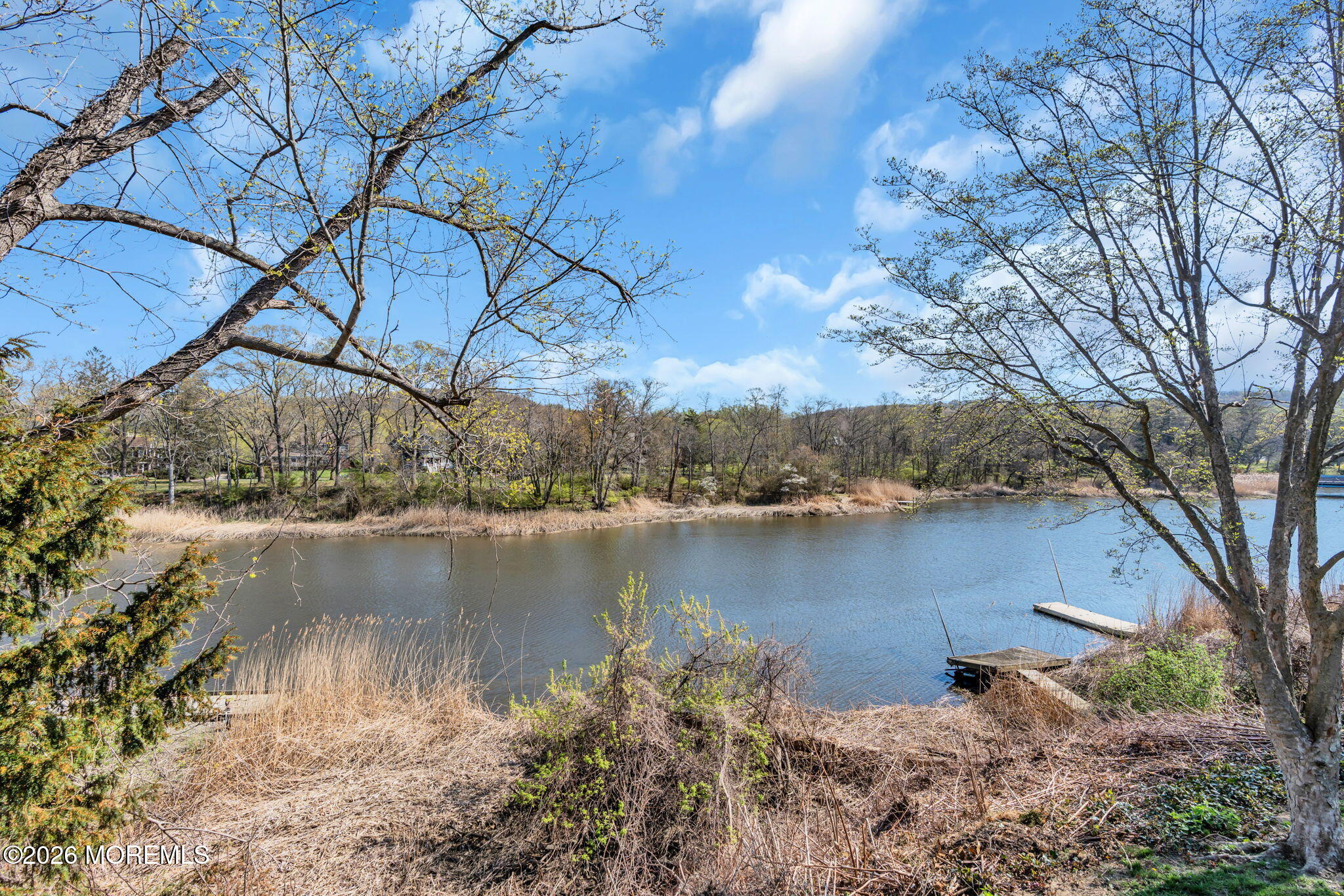531 Locust Point Road Rumson, NJ 07760 - Photo 49 of 53 Back Yard