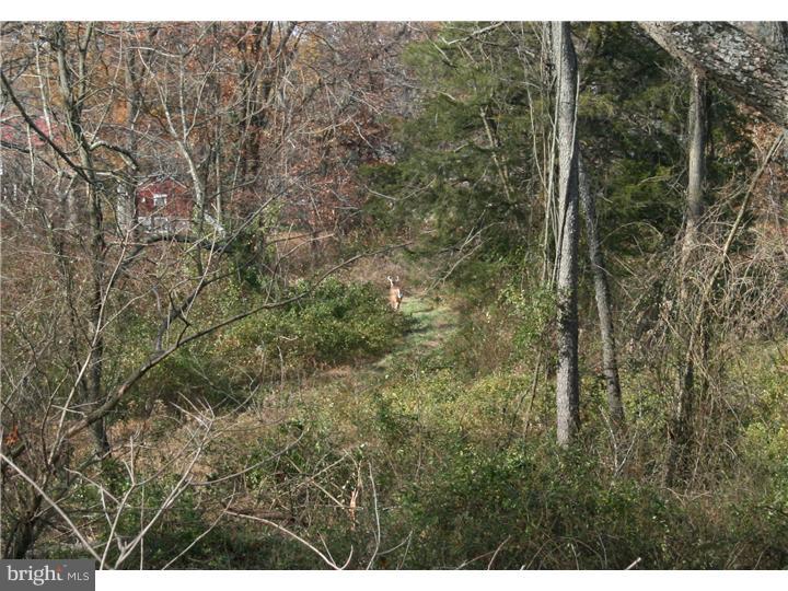 4280-3 Township Line Road Buckingham, PA 18940 - Photo 14 of 17