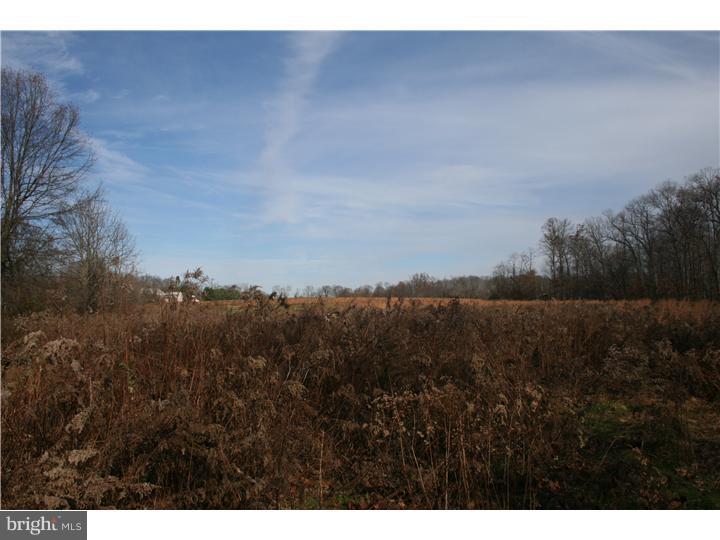 4280-3 Township Line Road Buckingham, PA 18940 - Photo 8 of 17