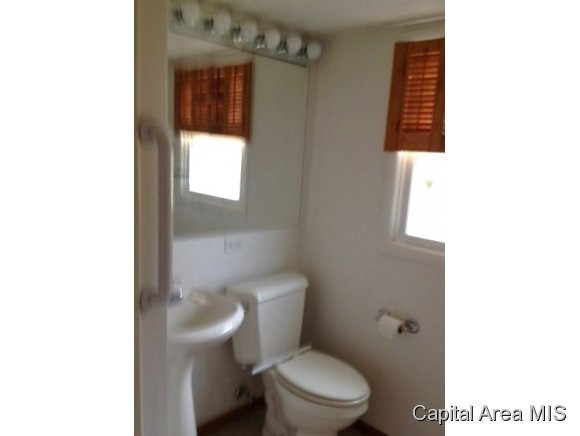 Gallery Image 7