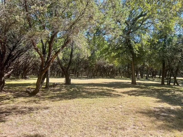 a view of a yard with a trees