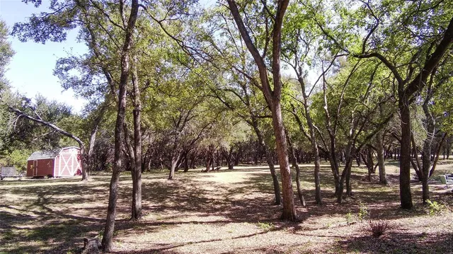 a view of outdoor space with lots of trees