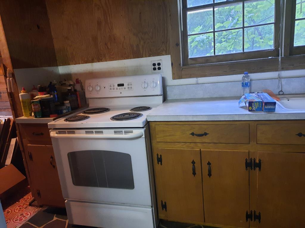 186 Banks Chapel Road Northeast Ranger, GA 30734 - Photo 16 of 31 Gallery Image 16