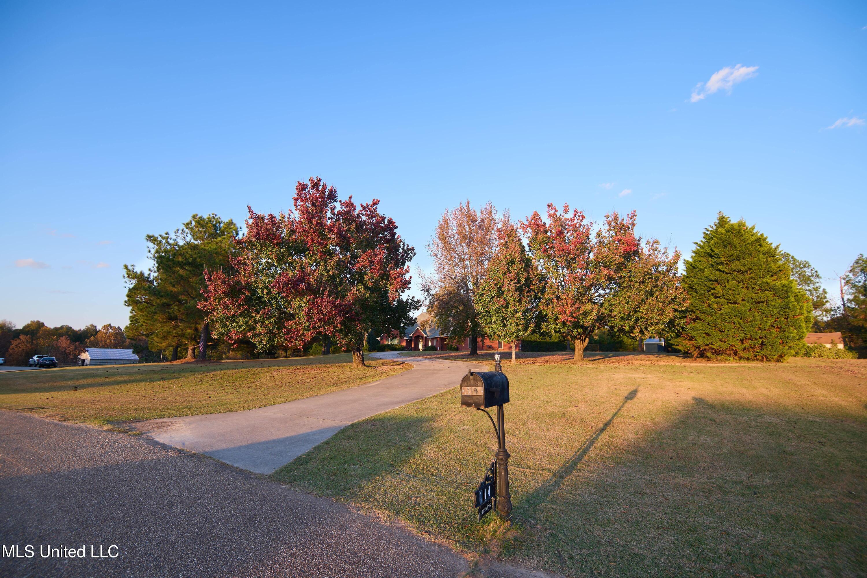 114 Sky Meadow Road Flora, MS 39071 - Photo 31 of 31 P1154291-min