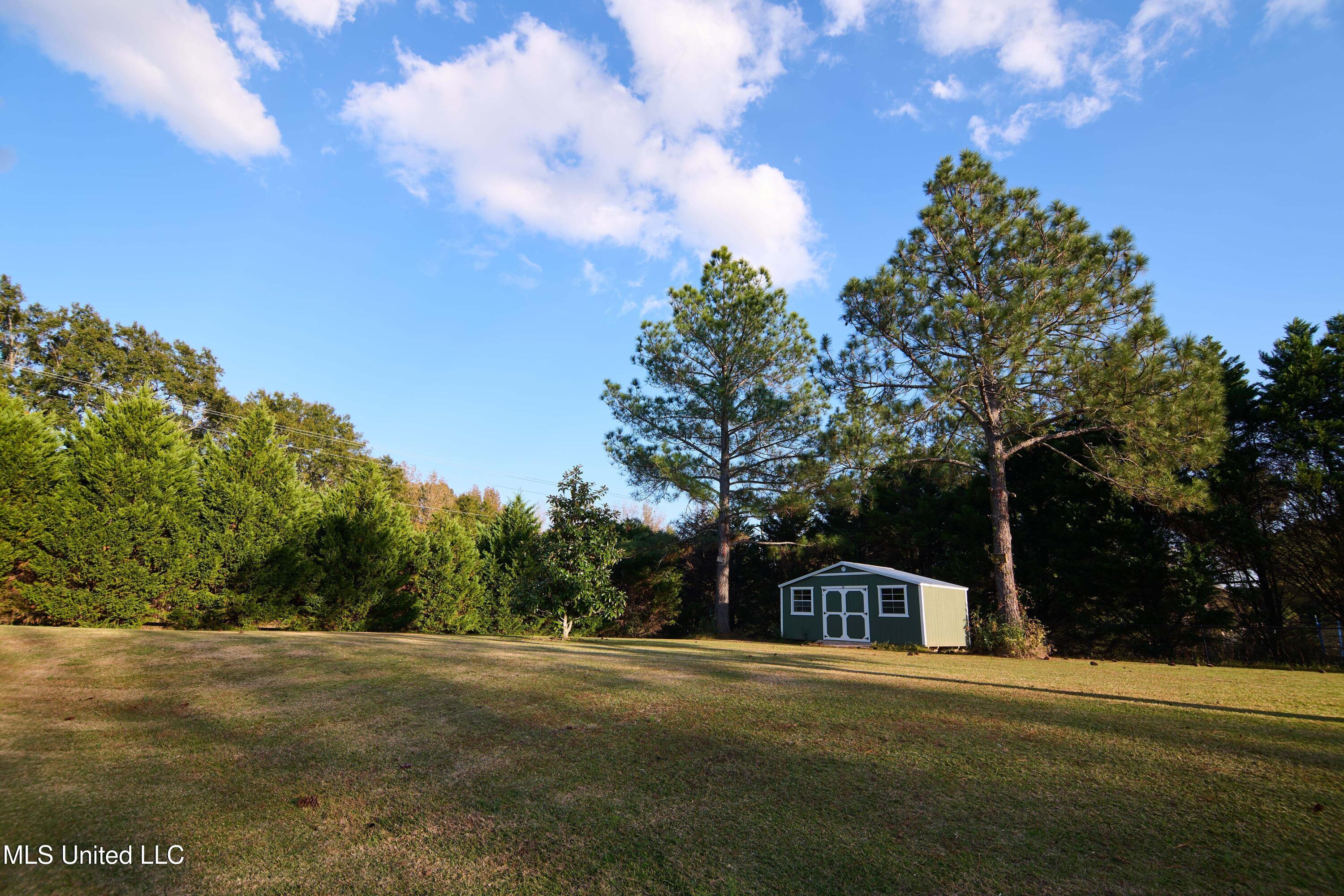 114 Sky Meadow Road Flora, MS 39071 - Photo 7 of 31 P1154155-min