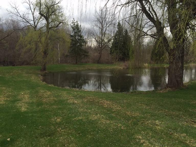 8811 Macon Road Saline, MI 48176 - Photo 7 of 17 Photo 7