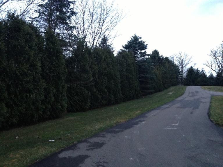 8811 Macon Road Saline, MI 48176 - Photo 10 of 17 Photo 10