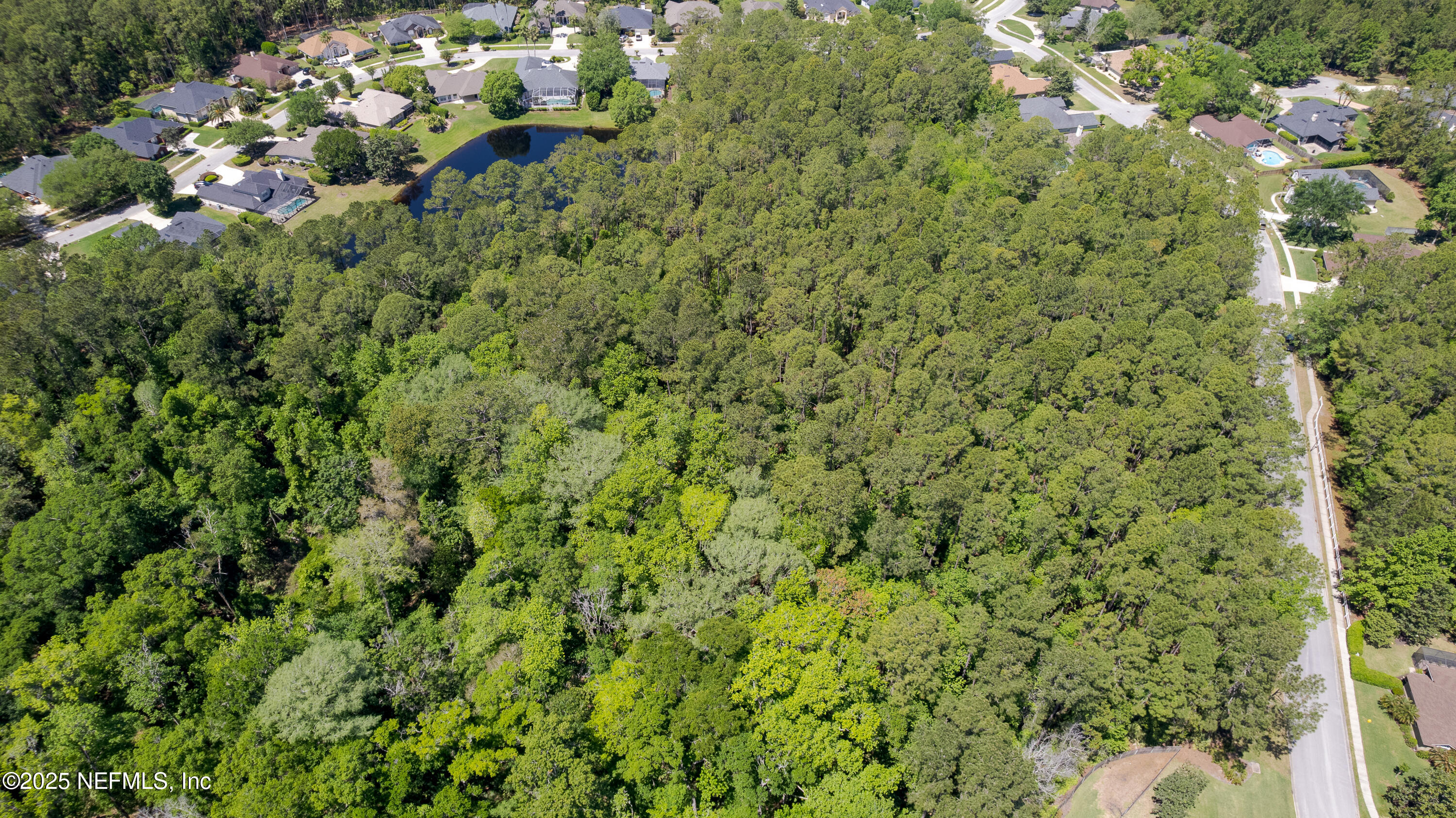 0 Timbermill Road Jacksonville, FL 32256 - Photo 10 of 28 TP-10