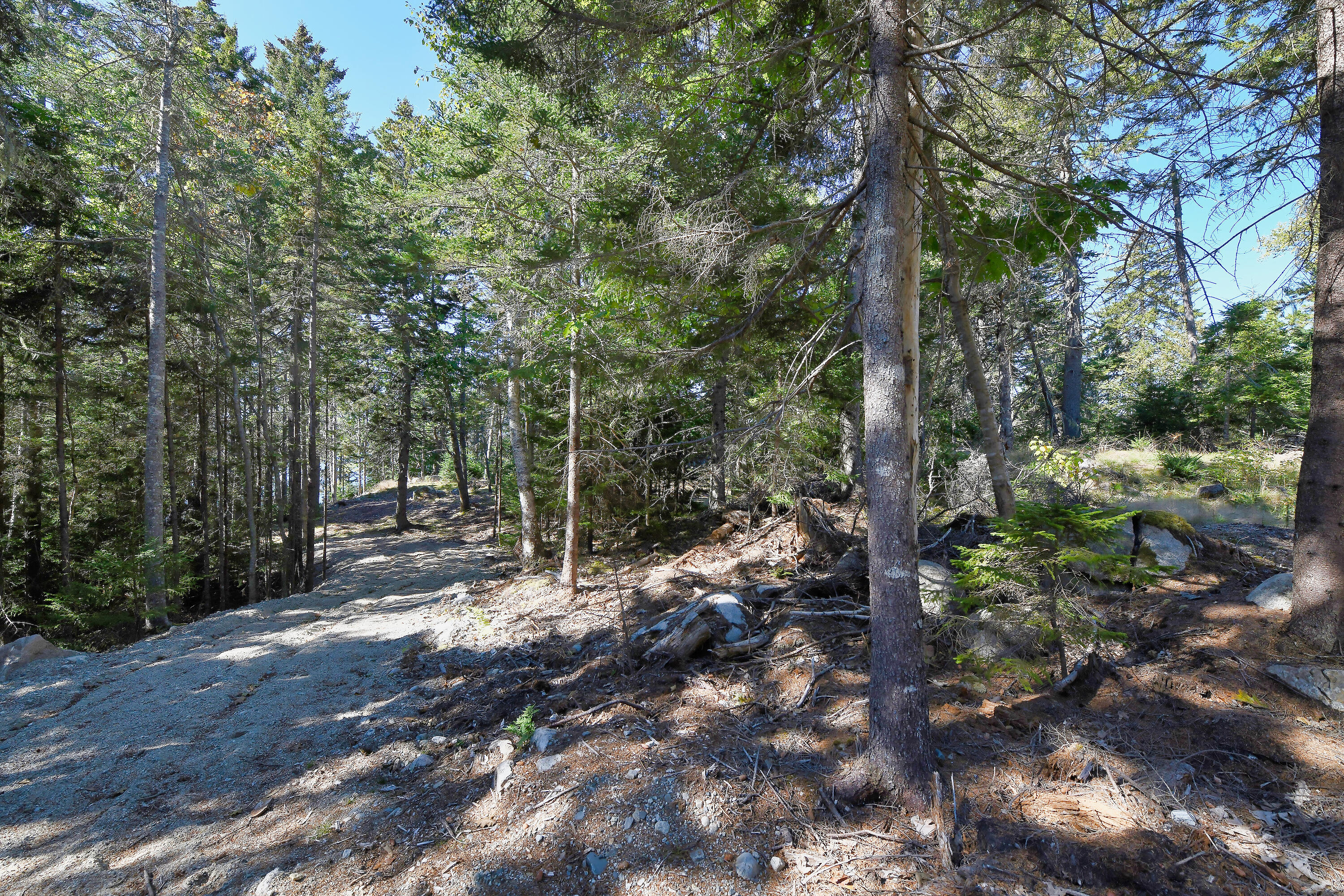 Lot 6 Sunset Road Brooksville, ME 04617 - Photo 6 of 35