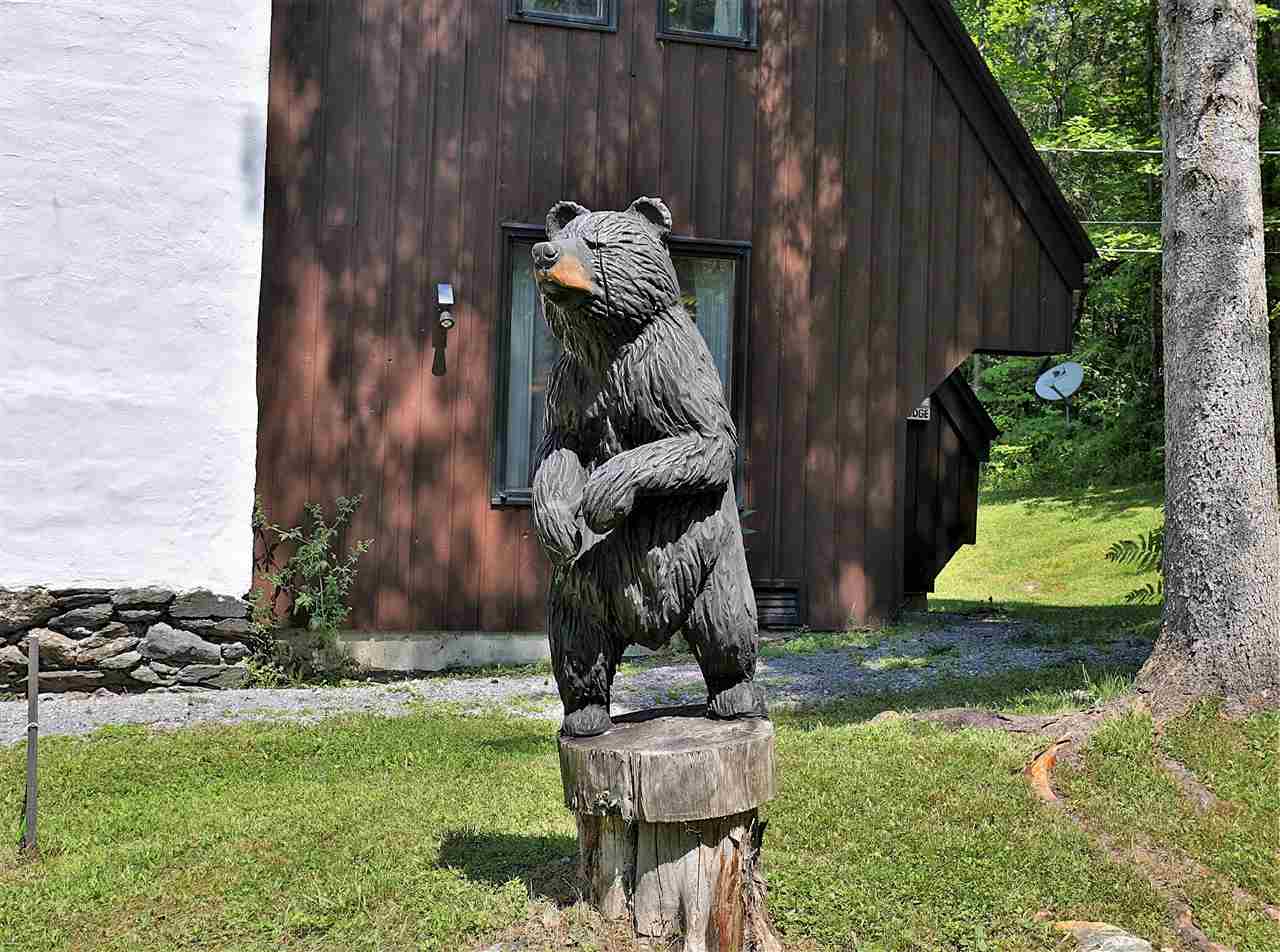 217 Falcon Loop Road West Rochester, VT 05767 - Photo 39 of 40