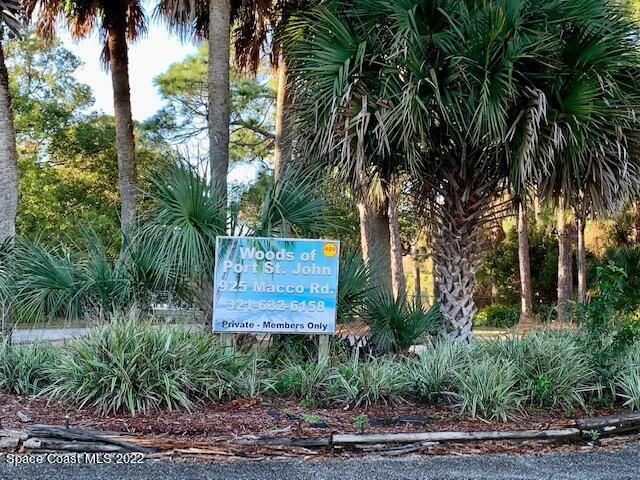 235 Capron Road Cocoa, FL 32927 - Photo 16 of 19 a view of a palm trees front of a house