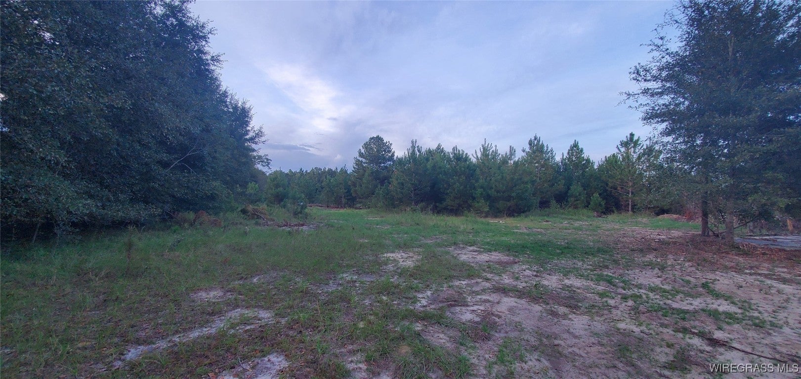725 Dock Wilson Road Samson, AL 36477 - Photo 2 of 12 Gallery Image 2